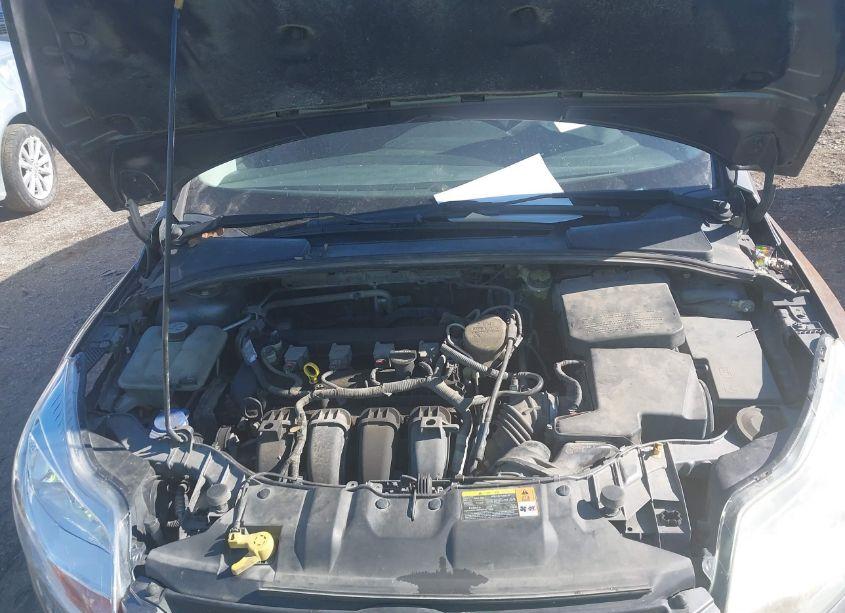 Photo 10 of 2013 Ford Focus SE (VIN 1FADP3F21DL196631)