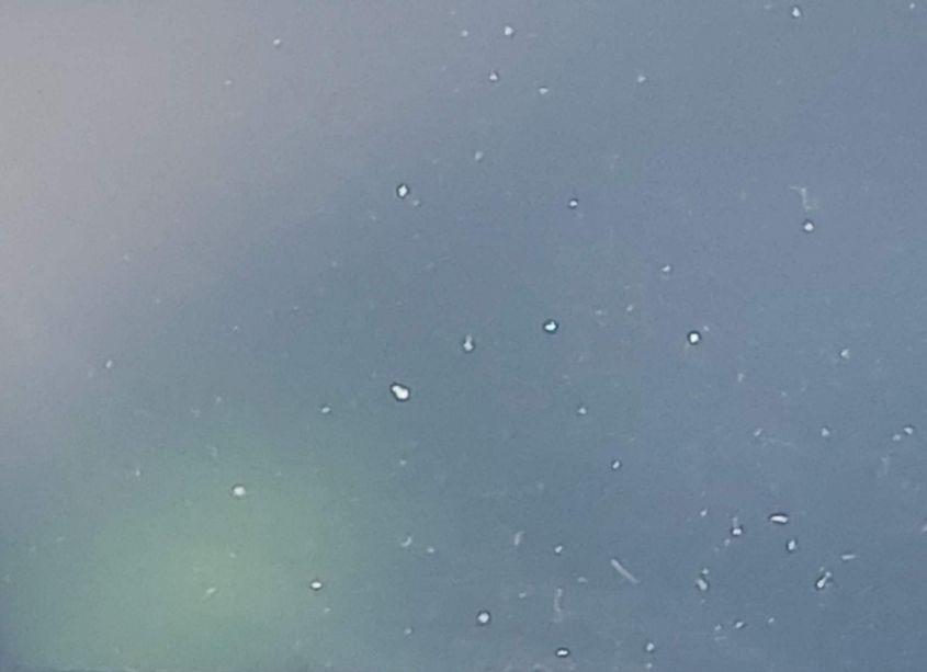 Photo 15 of 2013 Ford Focus SE (VIN 1FADP3F21DL303497)