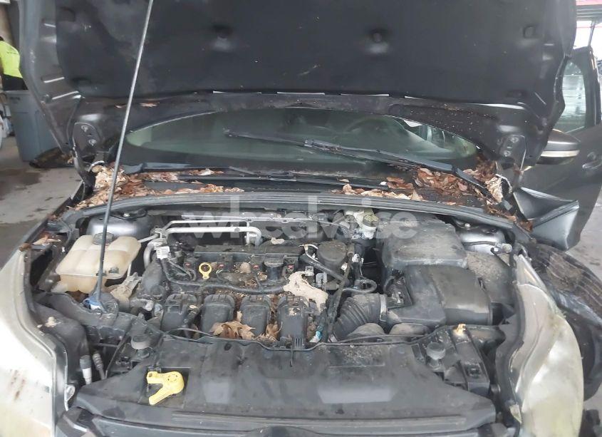 Photo 10 of 2014 Ford Focus SE (VIN 1FADP3F21EL249281)