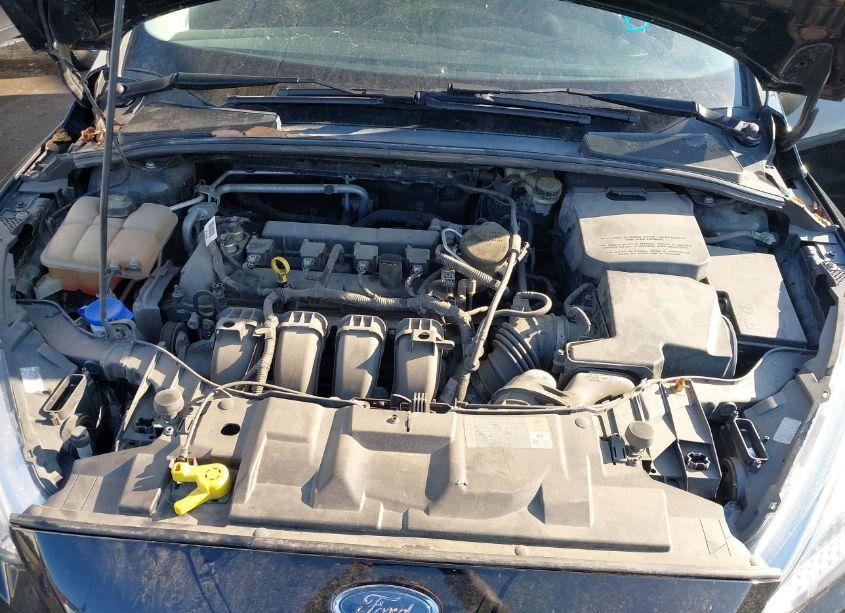 Photo 10 of 2016 Ford Focus SE (VIN 1FADP3F21GL205901)