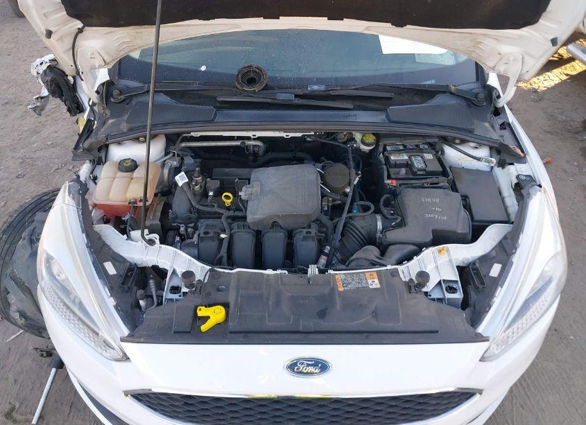 Photo 10 of 2016 Ford Focus SE (VIN 1FADP3F21GL210919)