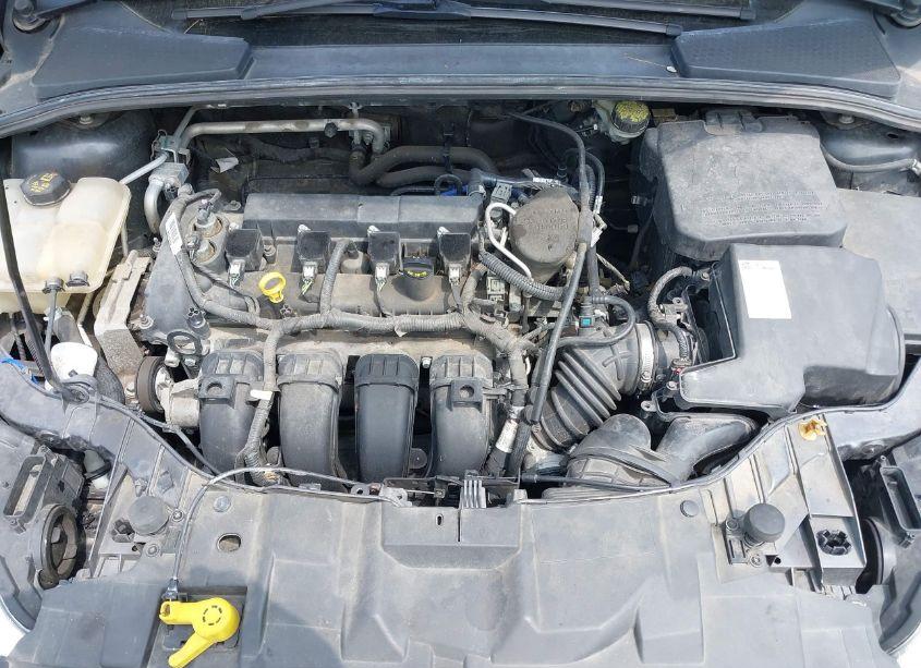 Photo 10 of 2016 Ford Focus SE (VIN 1FADP3F21GL313743)