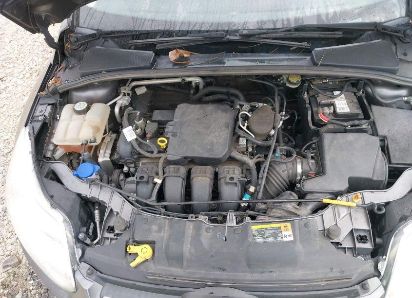 Photo 10 of 2013 Ford Focus SE (VIN 1FADP3F22DL142254)