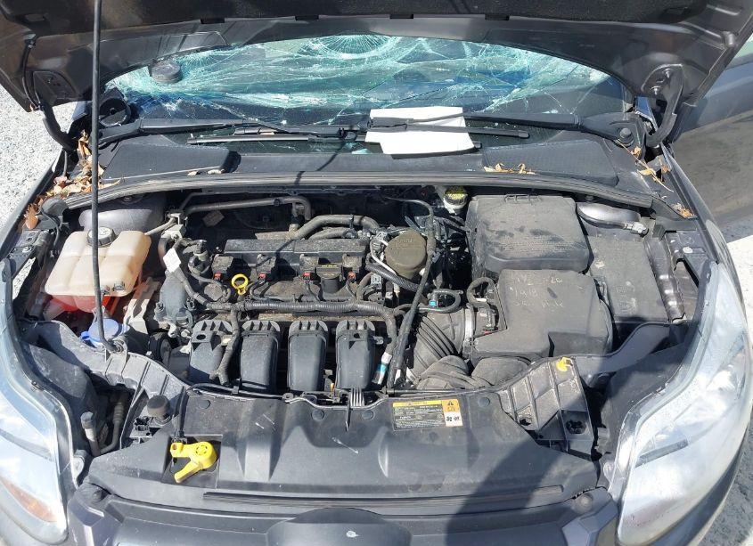 Photo 10 of 2013 Ford Focus SE (VIN 1FADP3F22DL217566)