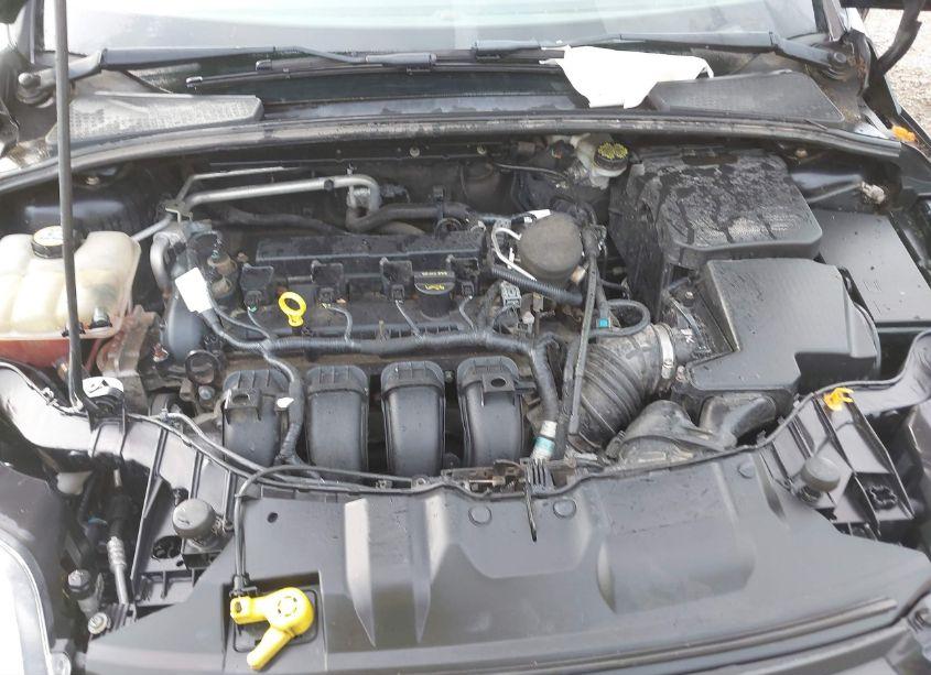Photo 10 of 2013 Ford Focus SE (VIN 1FADP3F22DL242502)