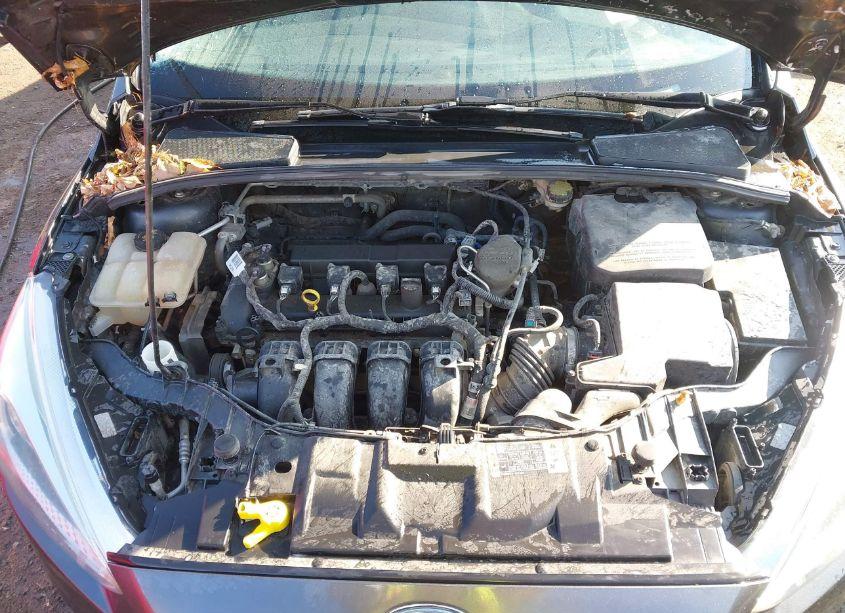 Photo 10 of 2016 Ford Focus SE (VIN 1FADP3F22GL319017)