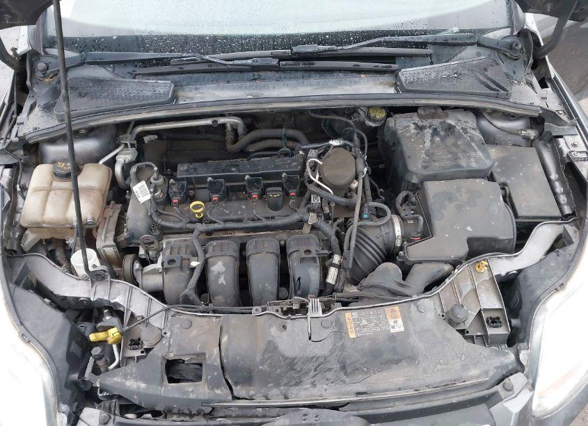 Photo 10 of 2014 Ford Focus SE (VIN 1FADP3F23EL427269)