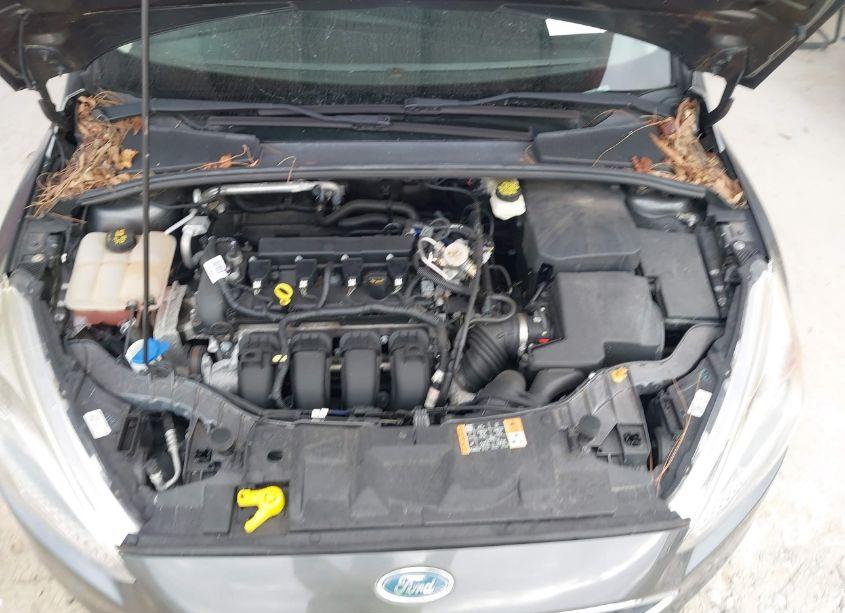 Photo 10 of 2017 Ford Focus SE (VIN 1FADP3F23HL312935)