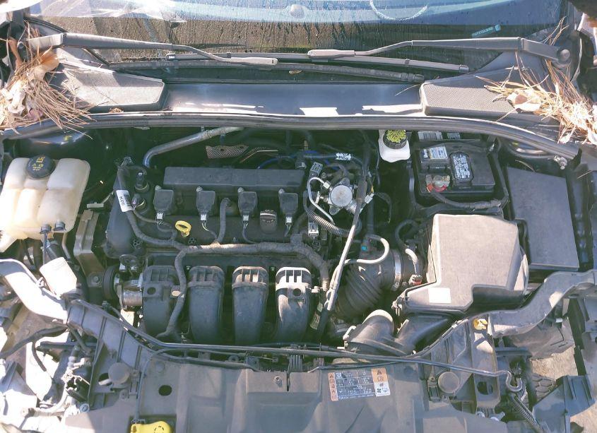 Photo 10 of 2018 Ford Focus SE (VIN 1FADP3F23JL201033)