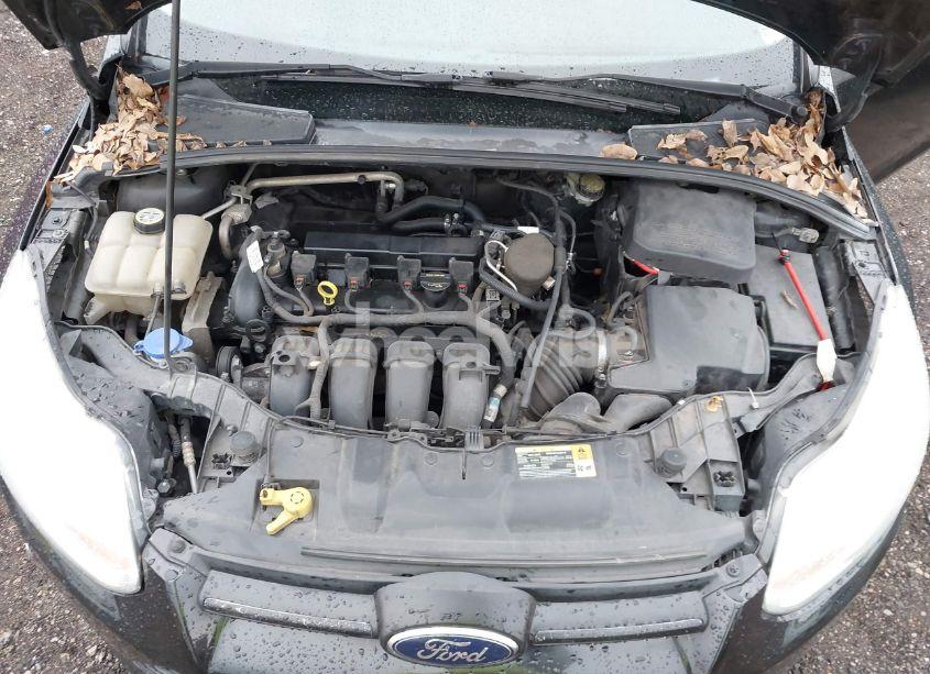 Photo 10 of 2013 Ford Focus SE (VIN 1FADP3F24DL212319)