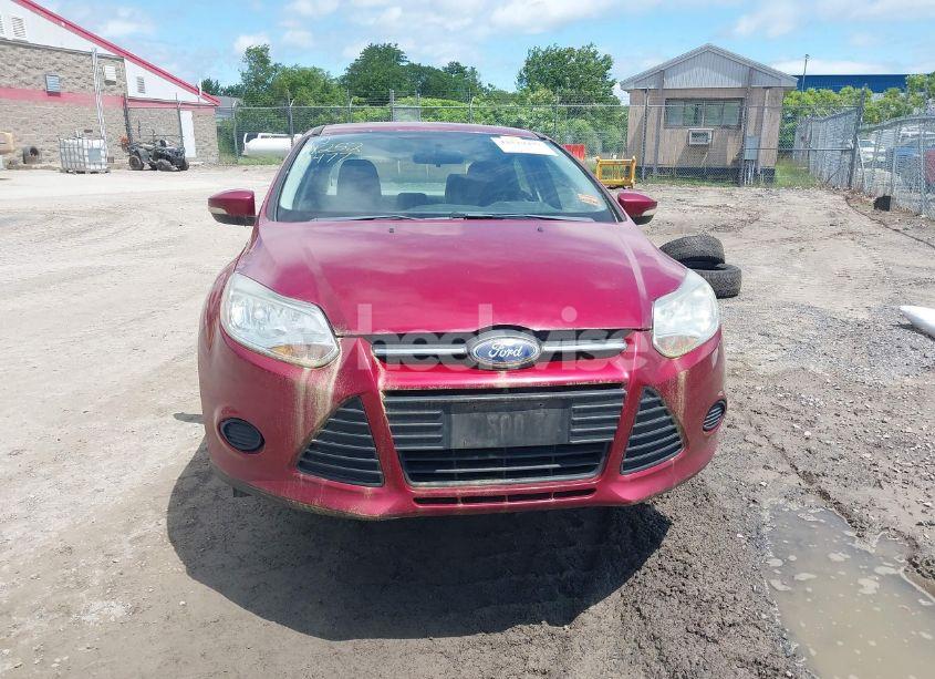 Photo 13 of 2013 Ford Focus SE (VIN 1FADP3F24DL317135)