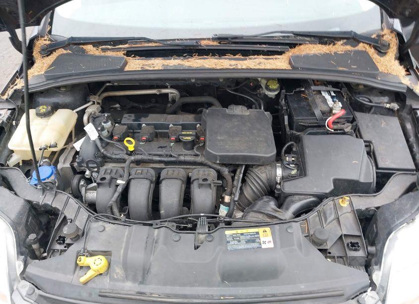 Photo 10 of 2014 Ford Focus SE (VIN 1FADP3F24EL163141)