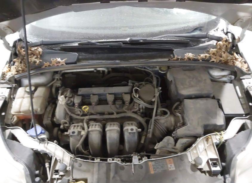 Photo 10 of 2014 Ford Focus SE (VIN 1FADP3F25EL442601)