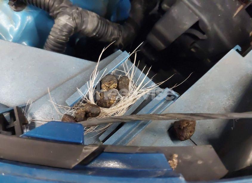 Photo 13 of 2015 Ford Focus SE (VIN 1FADP3F25FL319964)