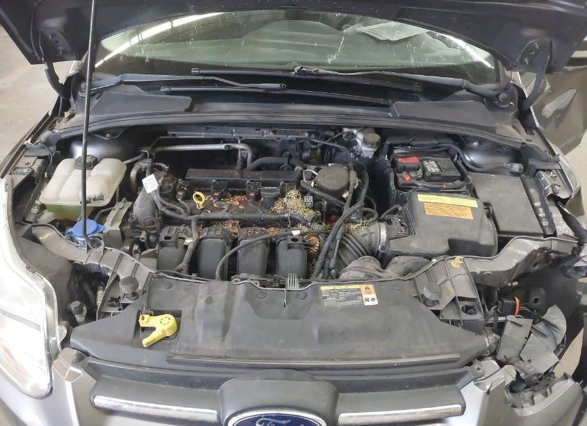 Photo 10 of 2014 Ford Focus SE (VIN 1FADP3F26EL209875)