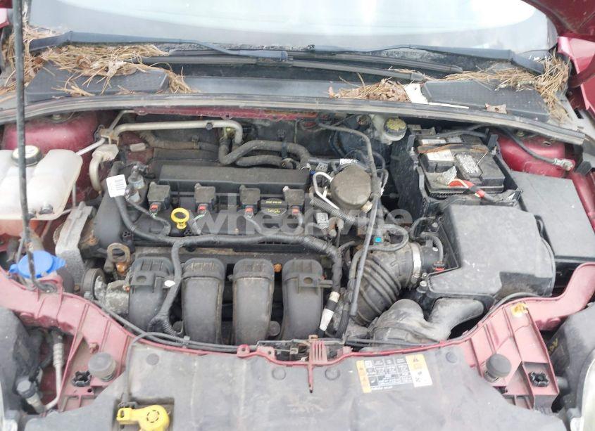 Photo 10 of 2014 Ford Focus SE (VIN 1FADP3F26EL278713)