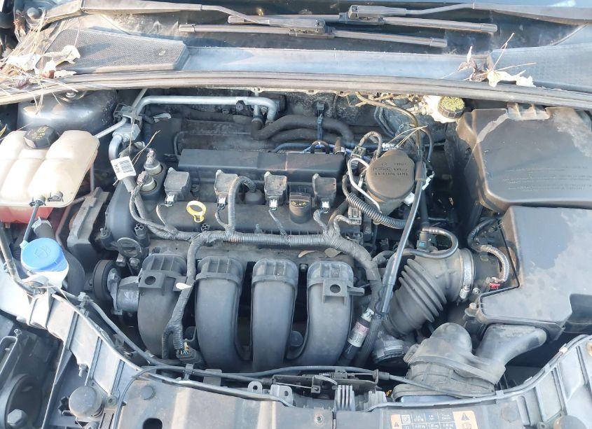 Photo 10 of 2016 Ford Focus SE (VIN 1FADP3F26GL201102)