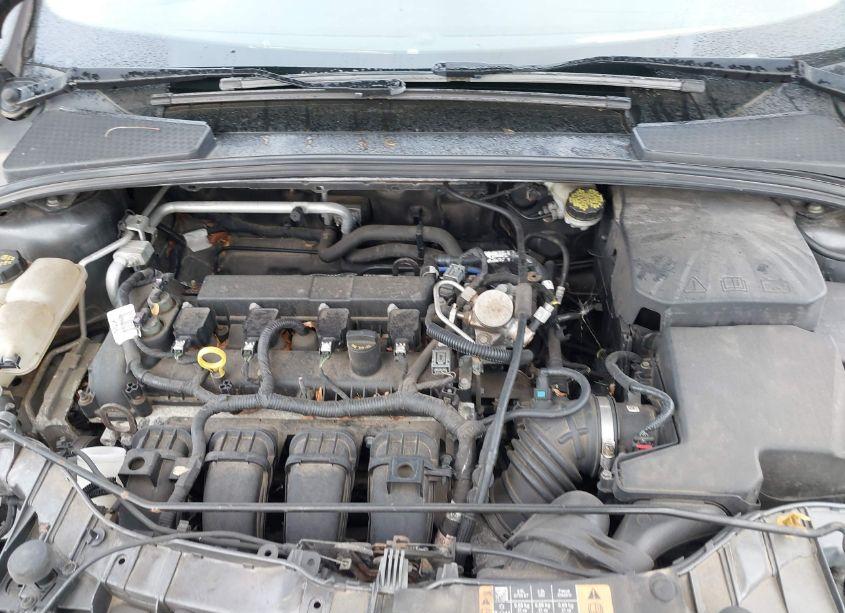 Photo 10 of 2016 Ford Focus SE (VIN 1FADP3F26GL394593)