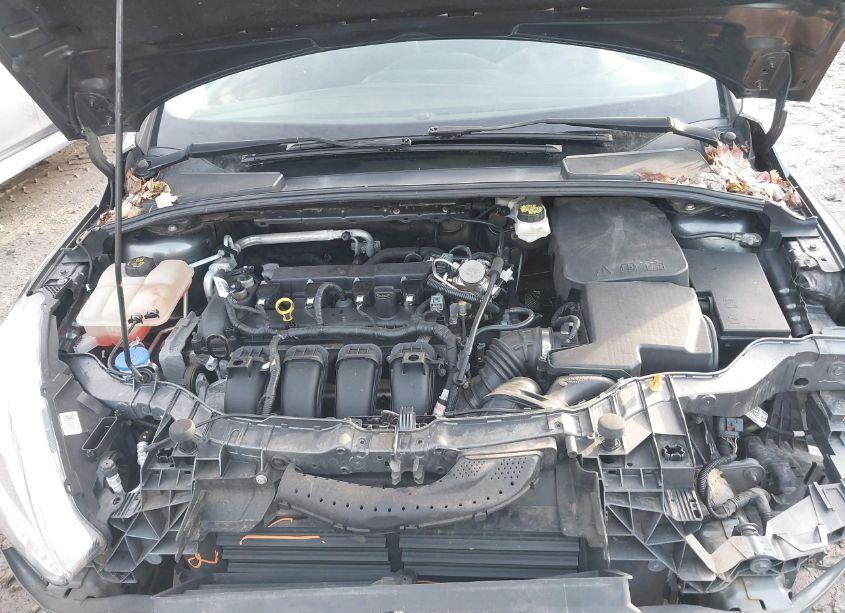 Photo 10 of 2018 Ford Focus SE (VIN 1FADP3F26JL210213)