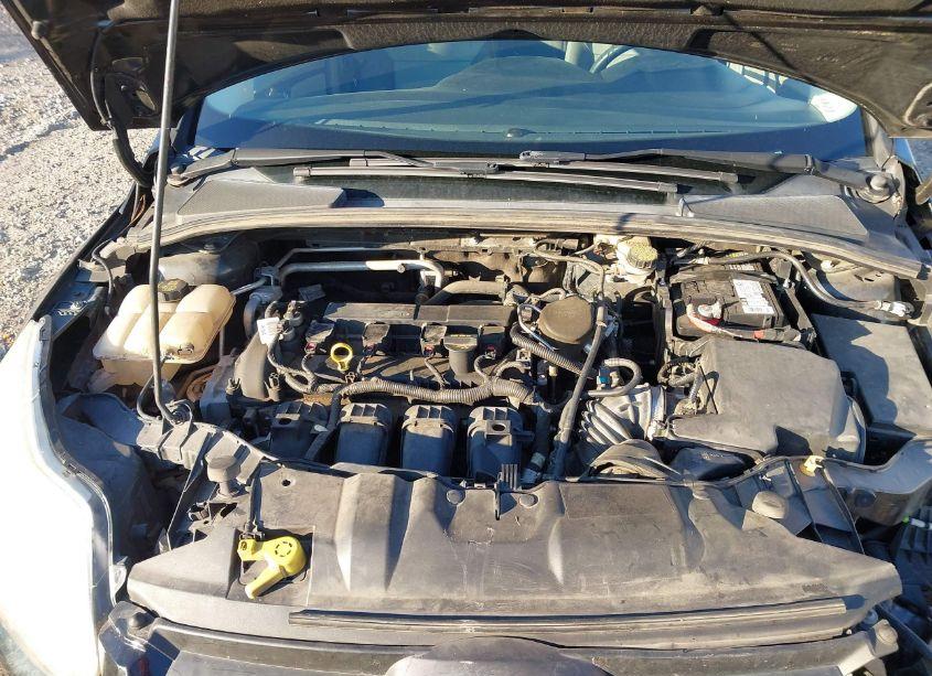 Photo 10 of 2014 Ford Focus SE (VIN 1FADP3F27EL359378)