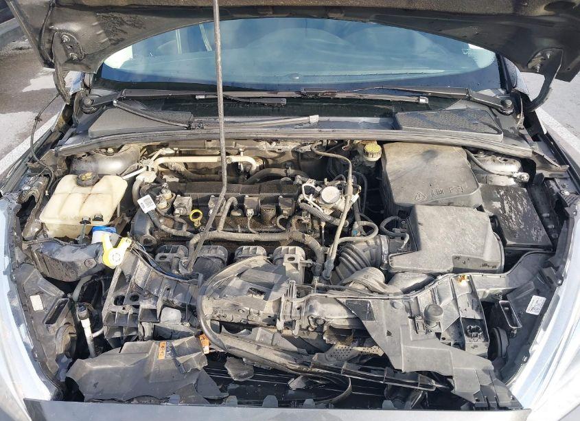 Photo 10 of 2016 Ford Focus SE (VIN 1FADP3F27GL393467)