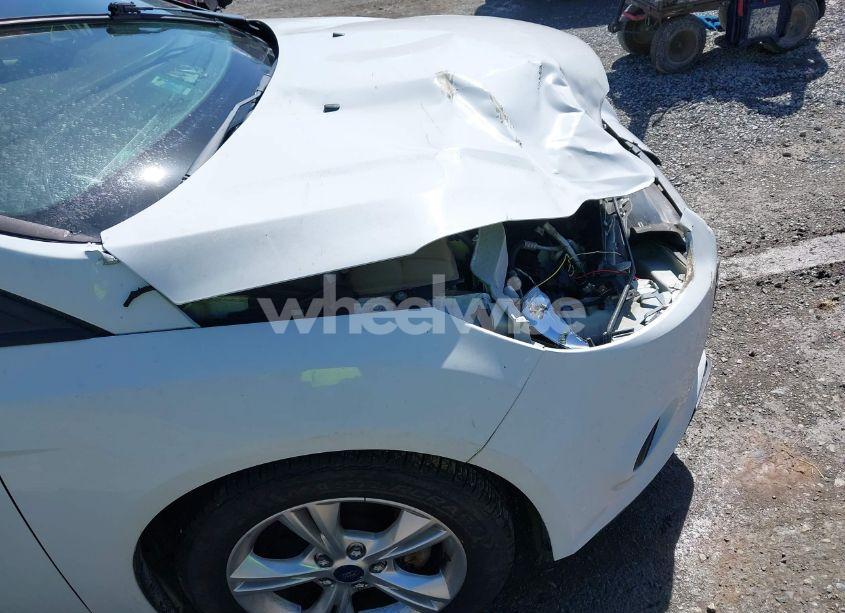 Photo 18 of 2014 Ford Focus SE (VIN 1FADP3F28EL258737)