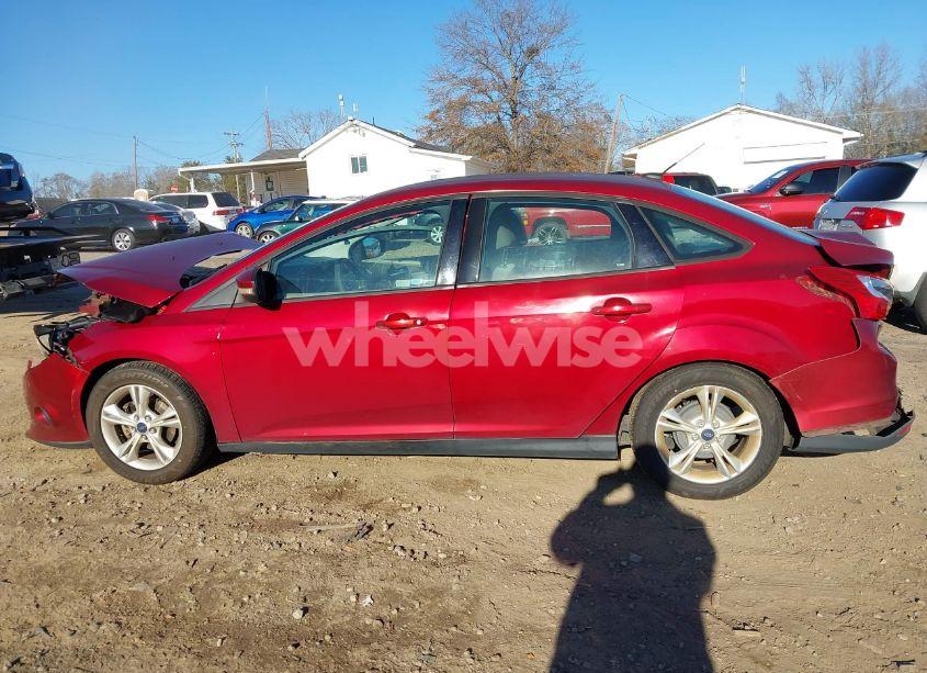 Photo 14 of 2014 Ford Focus SE (VIN 1FADP3F29EL189928)