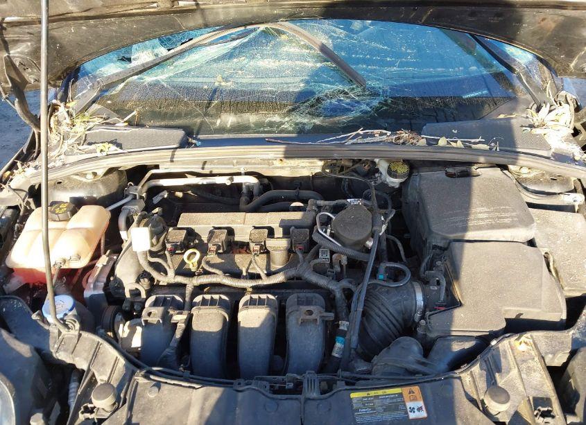 Photo 10 of 2014 Ford Focus SE (VIN 1FADP3F29EL244278)