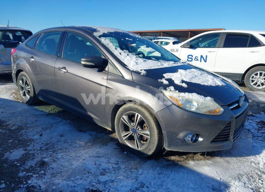 2014 Ford Focus SE (VIN 1FADP3F29EL338922) main photo