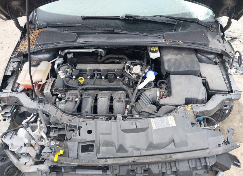 Photo 10 of 2018 Ford Focus SE (VIN 1FADP3F29JL257428)