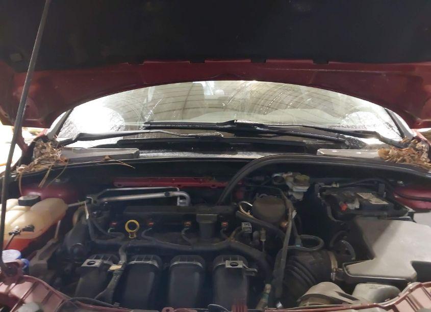 Photo 10 of 2013 Ford Focus SE (VIN 1FADP3F2XDL334537)