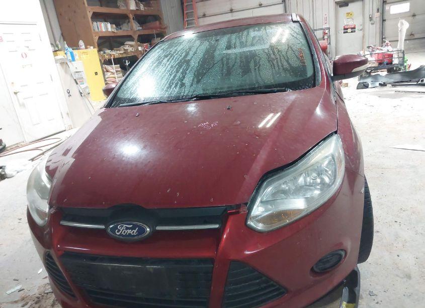 Photo 12 of 2013 Ford Focus SE (VIN 1FADP3F2XDL334537)