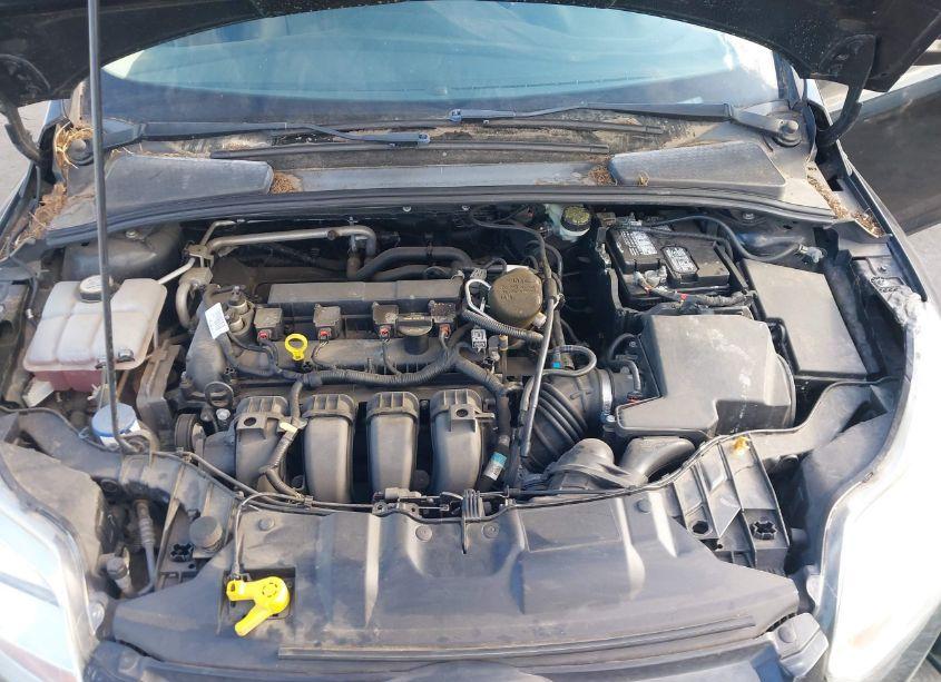 Photo 10 of 2013 Ford Focus SE (VIN 1FADP3F2XDL342962)