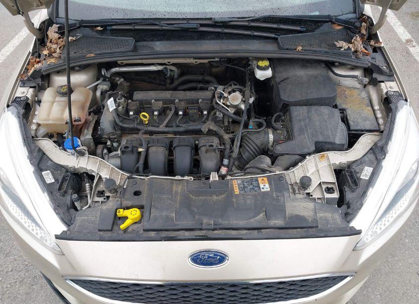 Photo 10 of 2018 Ford Focus SE (VIN 1FADP3F2XJL319242)