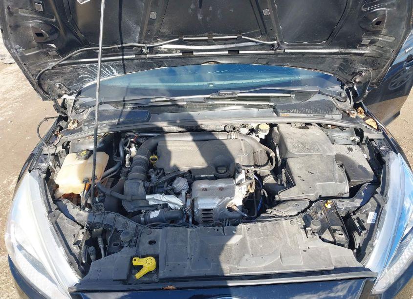 Photo 10 of 2016 Ford Focus SE (VIN 1FADP3FE3GL220619)