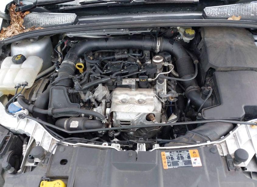 Photo 10 of 2016 Ford Focus SE (VIN 1FADP3FE7GL406809)