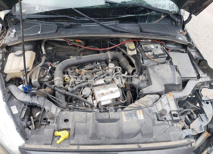 Photo 10 of 2017 Ford Focus SE (VIN 1FADP3FE9HL238432)