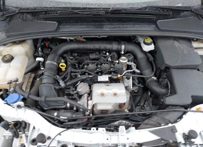 Photo 10 of 2018 Ford Focus SE (VIN 1FADP3FEXJL216137)