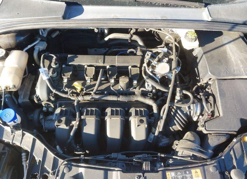 Photo 10 of 2017 Ford Focus SEL (VIN 1FADP3H22HL331408)