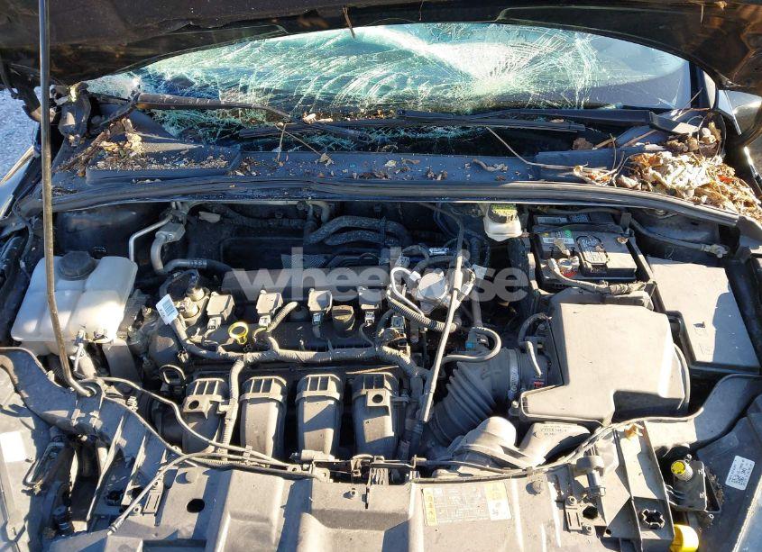 Photo 10 of 2017 Ford Focus SEL (VIN 1FADP3H25HL338210)
