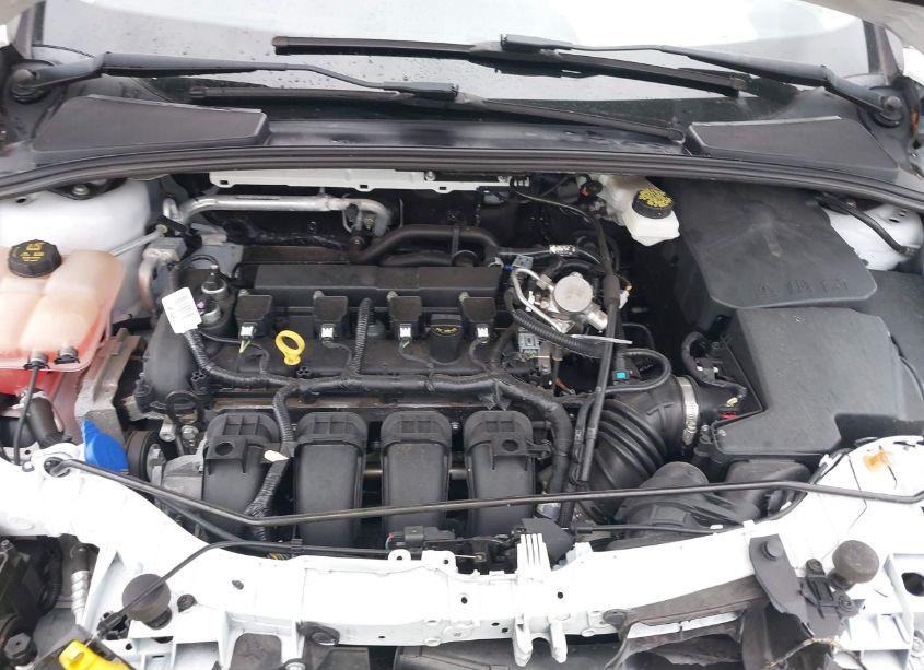 Photo 10 of 2018 Ford Focus SEL (VIN 1FADP3H2XJL299877)