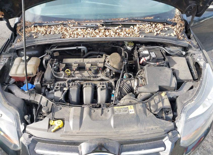 Photo 10 of 2013 Ford Focus TITANIUM (VIN 1FADP3J23DL335990)