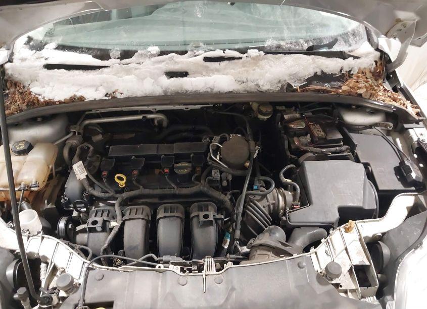 Photo 10 of 2014 Ford Focus SE (VIN 1FADP3K20EL183053)