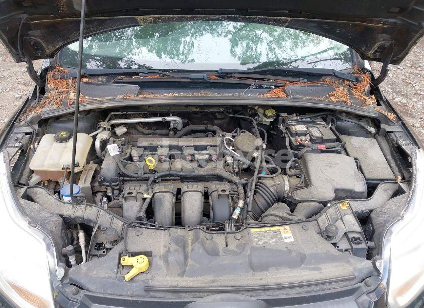 Photo 10 of 2014 Ford Focus SE (VIN 1FADP3K20EL220991)