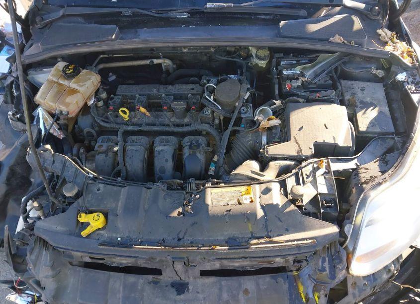 Photo 10 of 2014 Ford Focus SE (VIN 1FADP3K21EL254244)