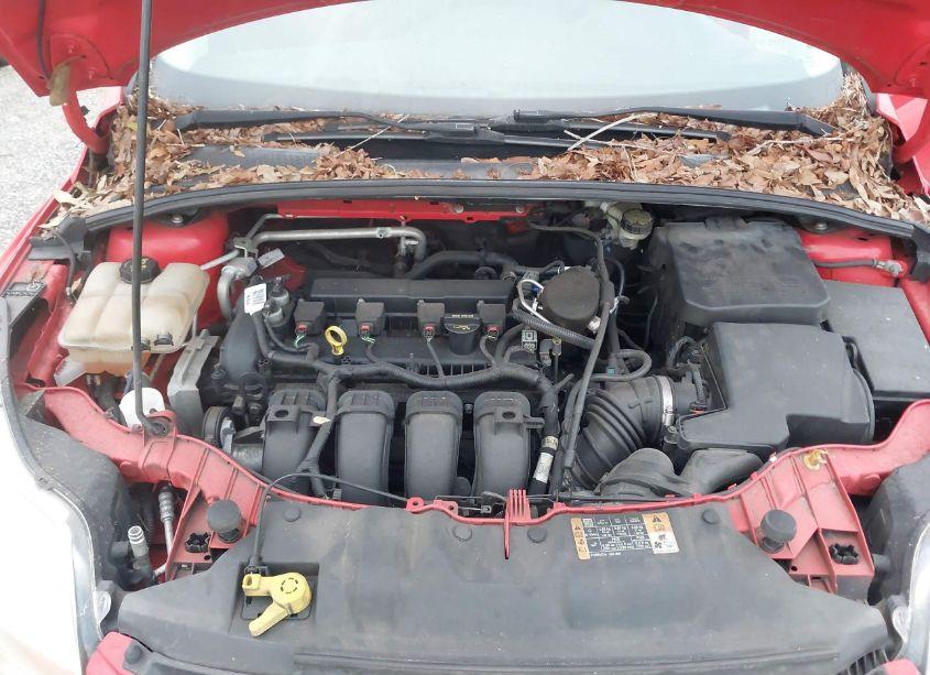 Photo 10 of 2014 Ford Focus SE (VIN 1FADP3K21EL273070)