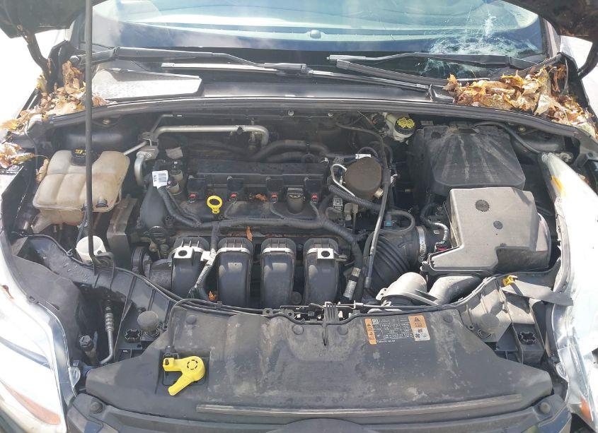 Photo 10 of 2014 Ford Focus SE (VIN 1FADP3K21EL404692)