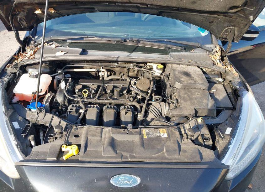Photo 10 of 2016 Ford Focus SE (VIN 1FADP3K21GL211025)