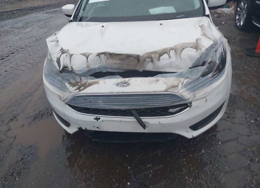 Photo 6 of 2018 Ford Focus SE (VIN 1FADP3K22JL273556)