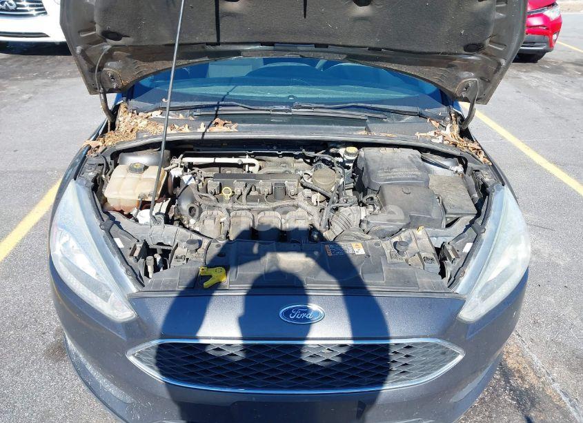 Photo 10 of 2016 Ford Focus SE (VIN 1FADP3K23GL269444)